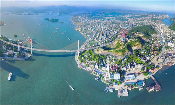 cao xanh hạ long quảng ninh - Hình 1