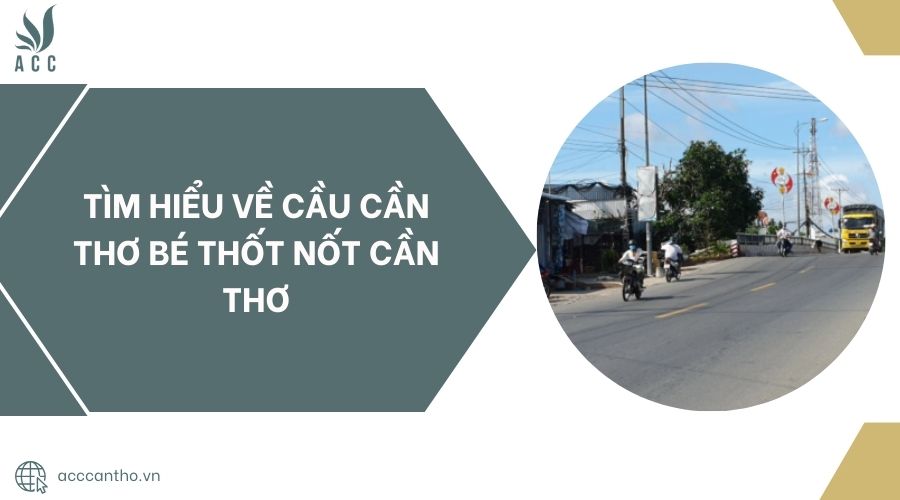 cầu cần thơ bé thốt nốt cần thơ - Hình 1