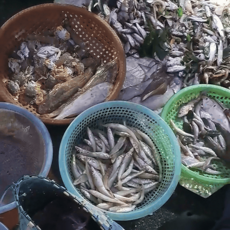 chợ đầu mối hải sản hải phòng - Hình 1