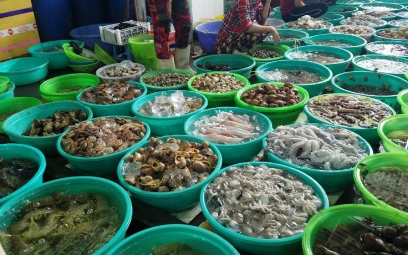 chợ đầu mối hải sản hải phòng - Hình 3