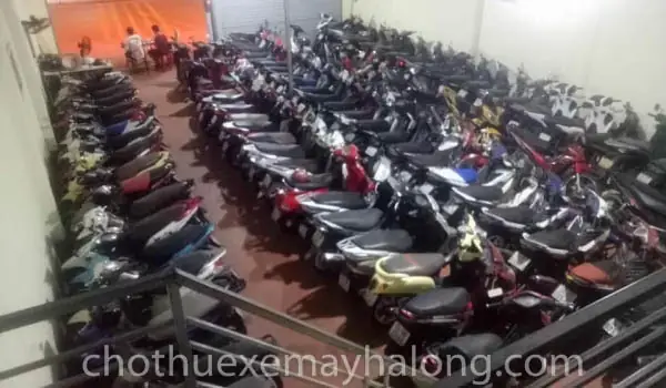 Thuê Xe Máy Hạ Long: Bảng Giá Mới Nhất, Kinh Nghiệm & Địa Chỉ Uy Tín