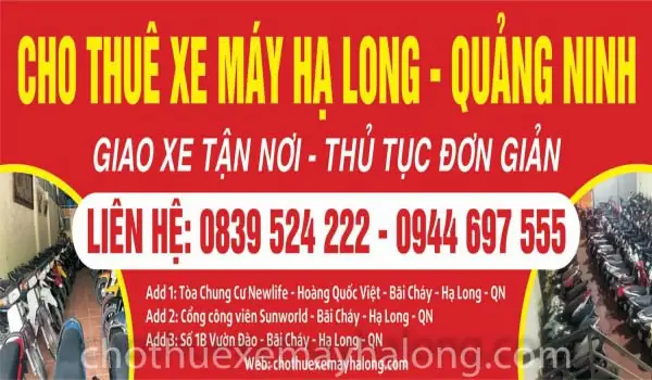 Thuê Xe Máy Hạ Long: Bảng Giá Mới Nhất, Kinh Nghiệm & Địa Chỉ Uy Tín