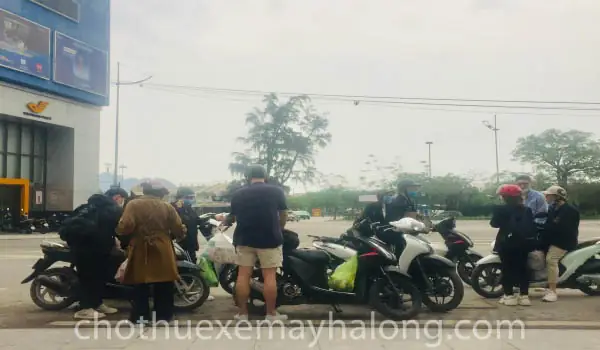 Thuê Xe Máy Hạ Long: Bảng Giá Mới Nhất, Kinh Nghiệm & Địa Chỉ Uy Tín