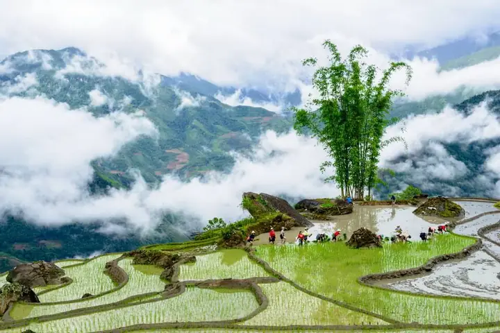 Ngôi Chùa Nổi Tiếng Ở Sài Gòn: Điểm Hành Hương Tâm Linh Đầu Năm