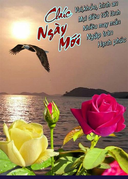 chúc bạn một ngày tốt lành - Hình 5