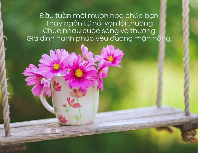 chúc tuần mới nhiều năng lượng - Hình 2