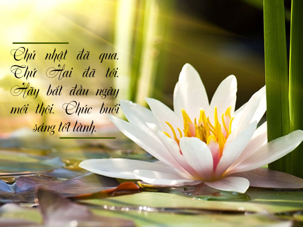 chúc tuần mới nhiều năng lượng - Hình 3