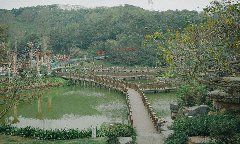 công viên ánh sáng hà khẩu - Hình 2