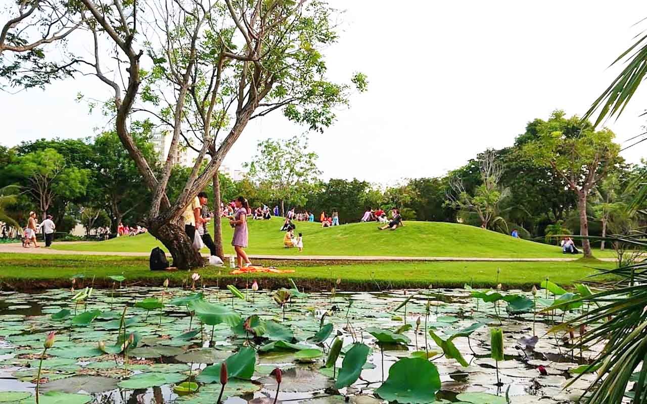 Hình ảnh công viên Cầu Ánh Sao quận 7 nổi bật với hệ thống đèn nhiều màu sắc