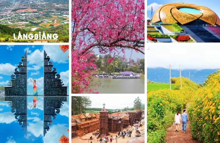 Cẩm Nang Du Lịch Một Ngày Đà Lạt: 8 Tour Khám Phá Đa Dạng Cho Mọi Du Khách