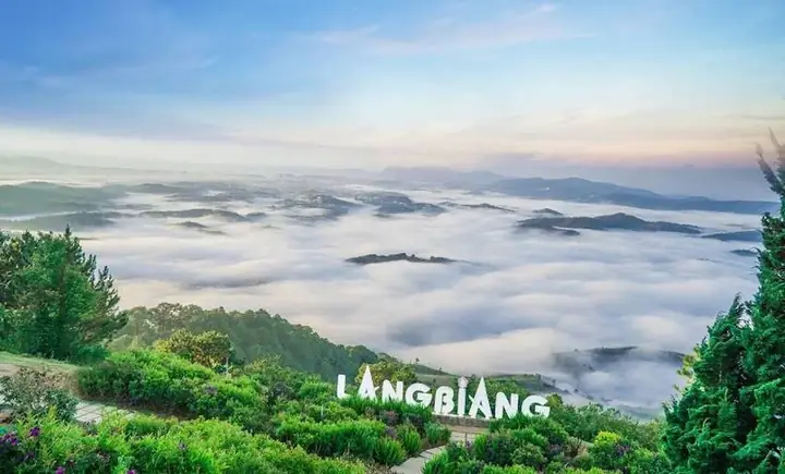 Cẩm Nang Du Lịch Một Ngày Đà Lạt: 8 Tour Khám Phá Đa Dạng Cho Mọi Du Khách