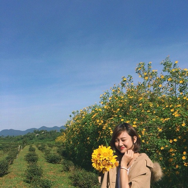đà lạt mùa này có gì - Hình 3