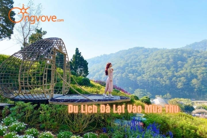 đà lạt mùa này có gì - Hình 5