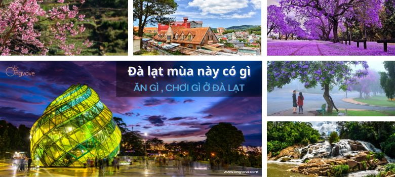 đà lạt mùa này có gì