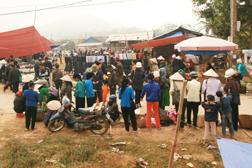 đà vị na hang tuyên quang - Hình 1