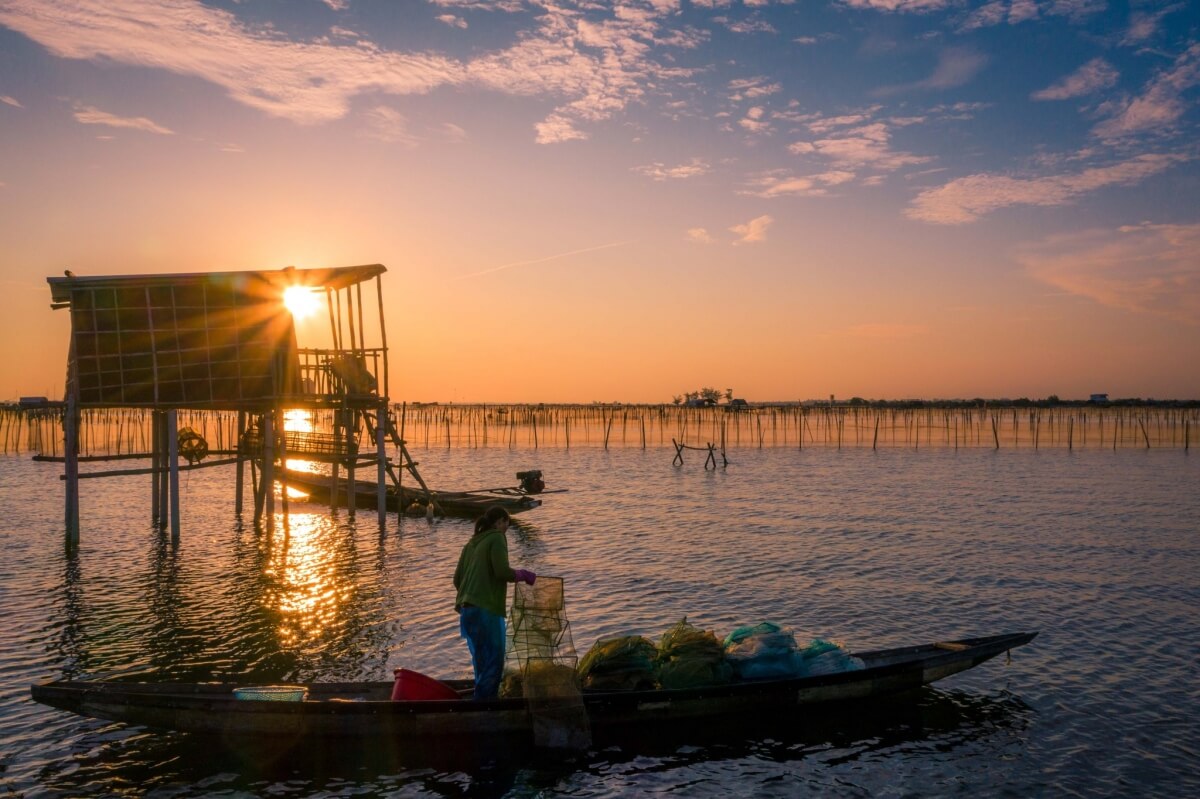 đầm chuồn phú vang thừa thiên huế - Hình 4