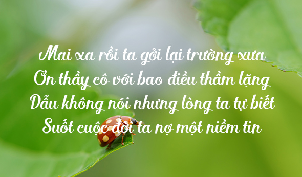 danh ngôn về tình thầy trò - Hình 4