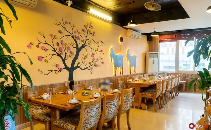 Dê Song Dương Trần Kim Xuyến Là Gì? Nguồn Gốc Và Đặc Điểm Nổi Bật Dê Song Dương Trần Kim Xuyến Là Gì? Nguồn Gốc Và Đặc Điểm Nổi Bật