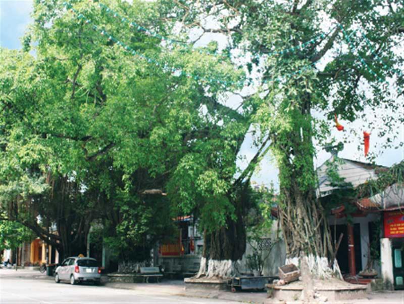 đền bà chúa kho hưng yên - Hình 3