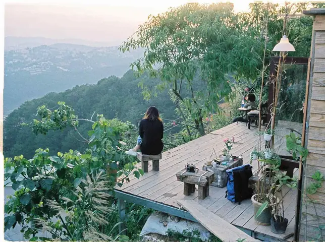 Cheo Veooo Đà Lạt: Review Quán Cà Phê View Rừng Núi Độc Đáo Giữa Lòng Thành Phố