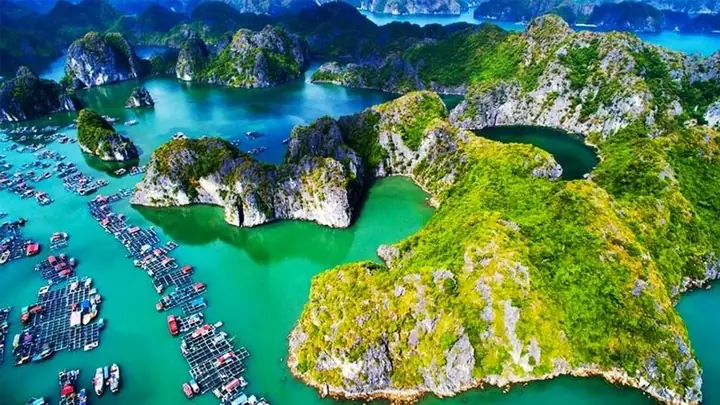 Địa Điểm Du Lịch Hải Phòng: Top 15 Điểm Đến Không Thể Bỏ Lỡ Và Kinh Nghiệm Khám Phá Tối Ưu