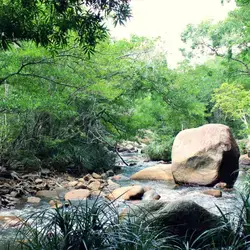 Địa Điểm Du Lịch Nha Trang Toàn Tập: 20+ Điểm Đến Đáng Thử Từ Biển Xanh Đến Rừng Xanh
