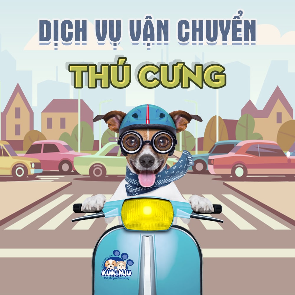 dịch vụ vận chuyển thú cưng - Hình 2