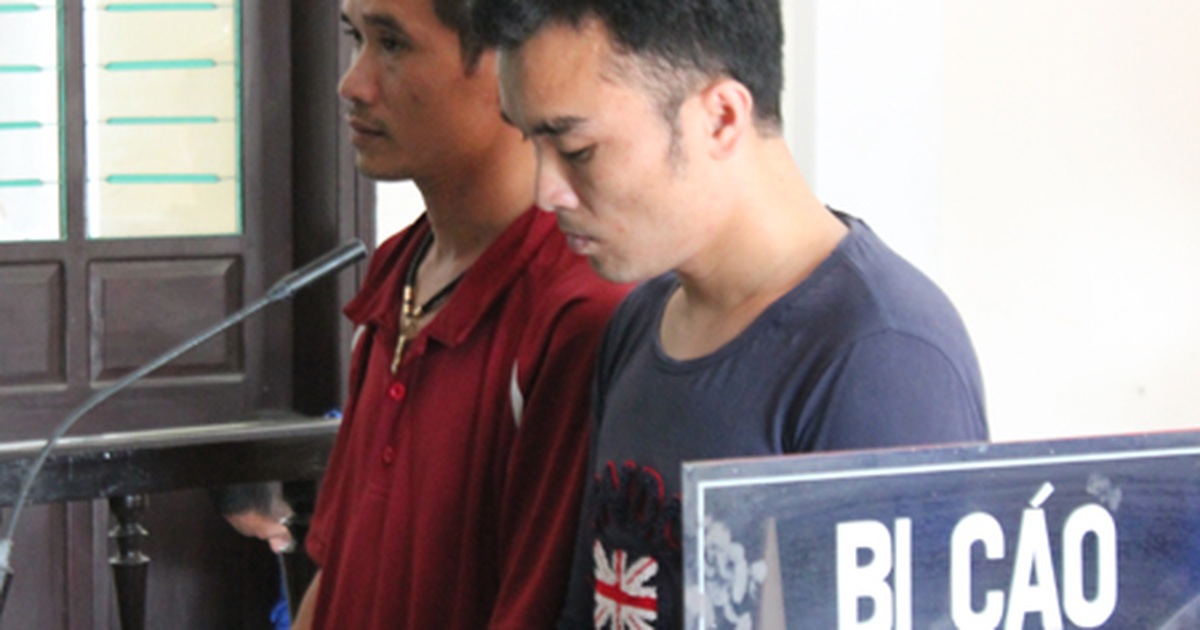diễn bình diễn châu nghệ an - Hình 2