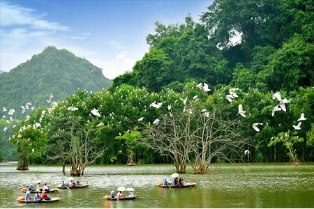 đồi cò ngọc nhị ba vì hà nội - Hình 2