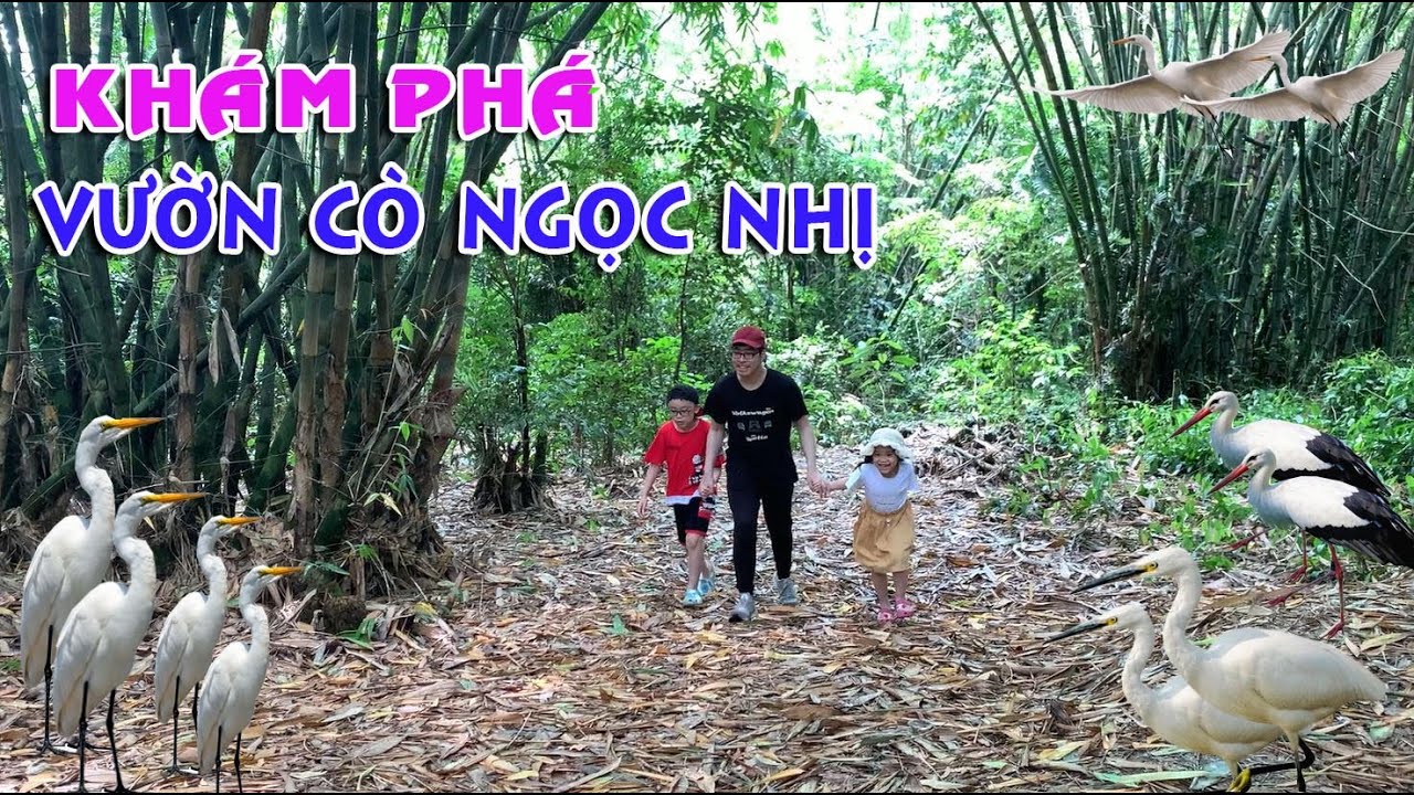 đồi cò ngọc nhị ba vì hà nội