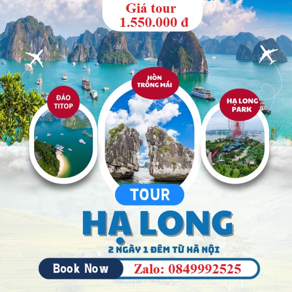 du lịch bãi cháy 2 ngày 1 đêm - Hình 5
