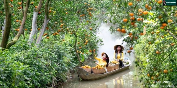 du lịch chính thương vườn trái cây - Hình 4