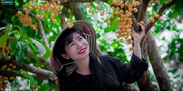 du lịch chính thương vườn trái cây - Hình 5