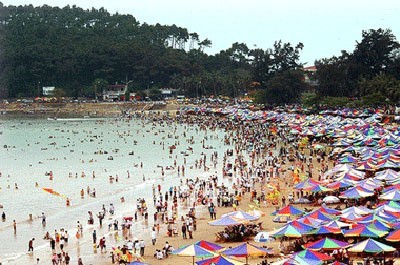 du lịch đồ sơn 2 ngày 1 đêm - Hình 3