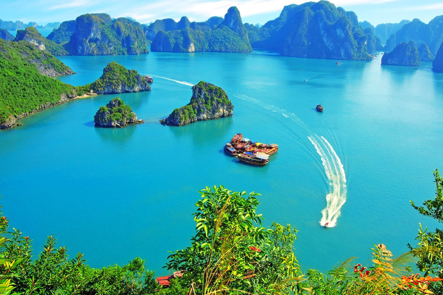 du lịch hạ long 1 ngày - Hình 4