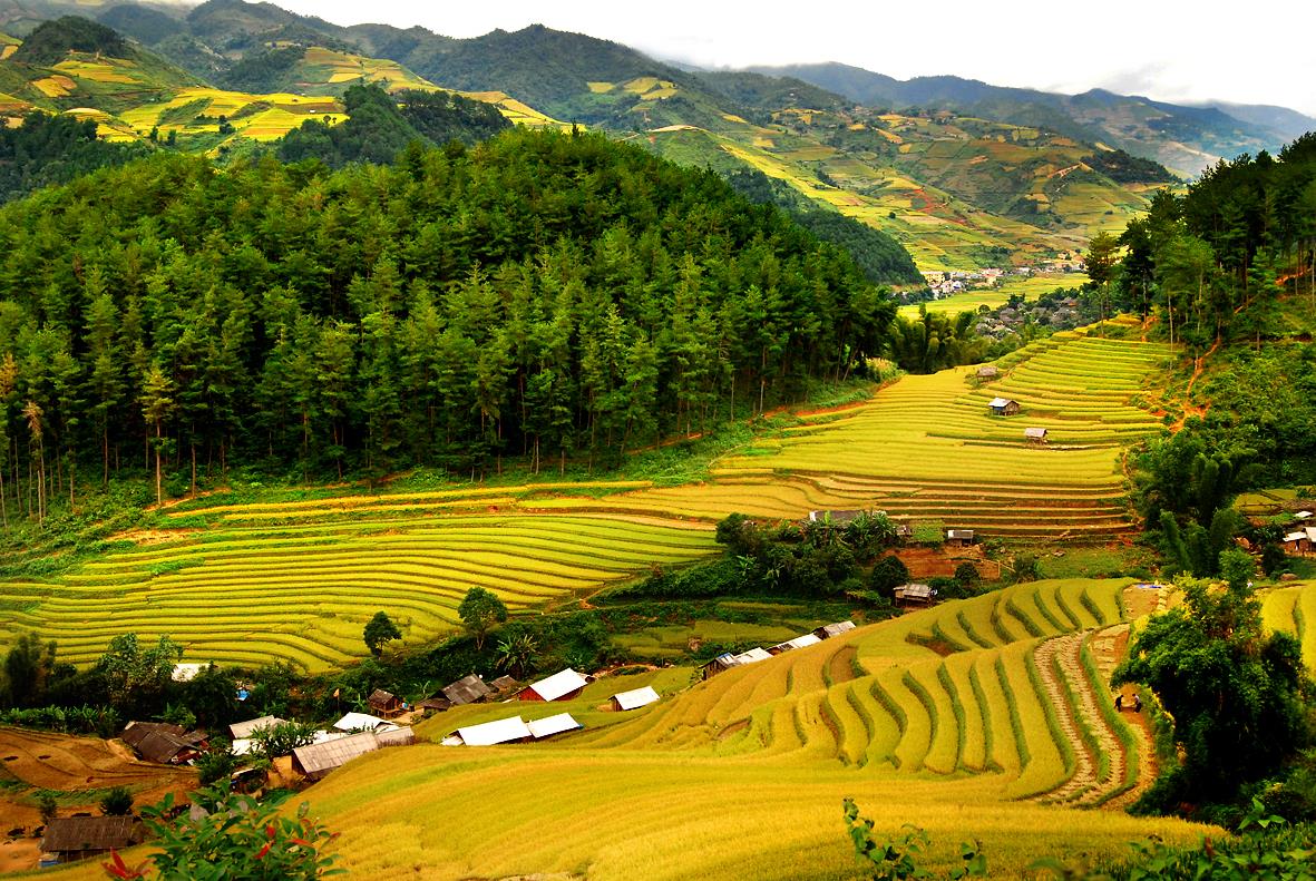 du lịch pù luông 2 ngày 1 đêm