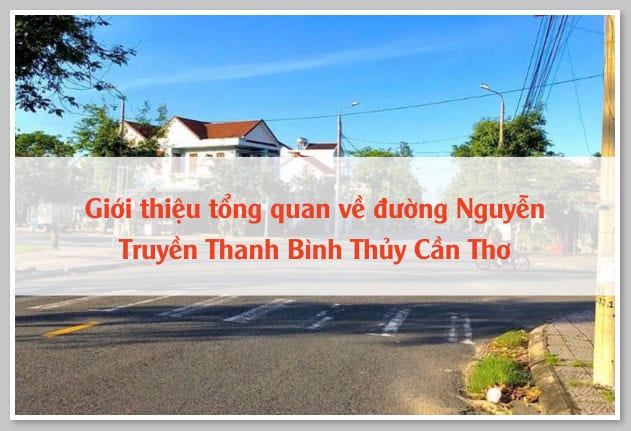 đường nguyễn truyền thanh bình thủy cần thơ - Hình 2