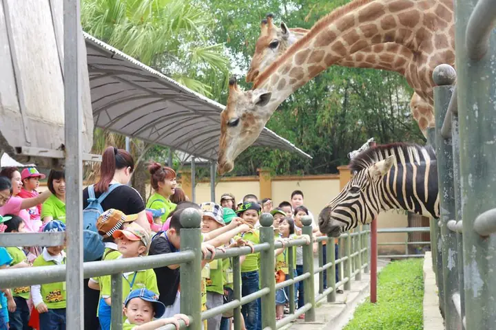 Đánh Giá Chi Tiết Giá Vé Thiên Đường Bảo Sơn 2026: Trọn Gói Hay Lẻ, Có Đáng Tiền? Đánh Giá Chi Tiết Giá Vé Thiên Đường Bảo Sơn 2026: Trọn Gói Hay Lẻ, Có Đáng Tiền?