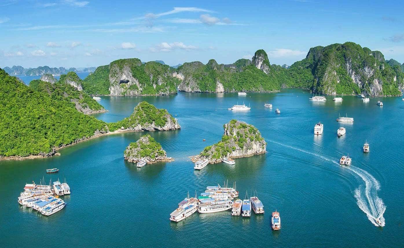 giới thiệu về đảo cát bà - Hình 1