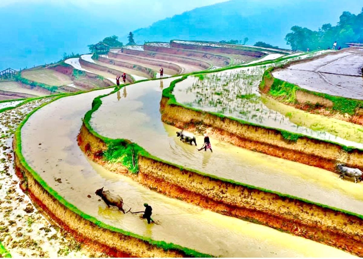 giới thiệu về ruộng bậc thang - Hình 1