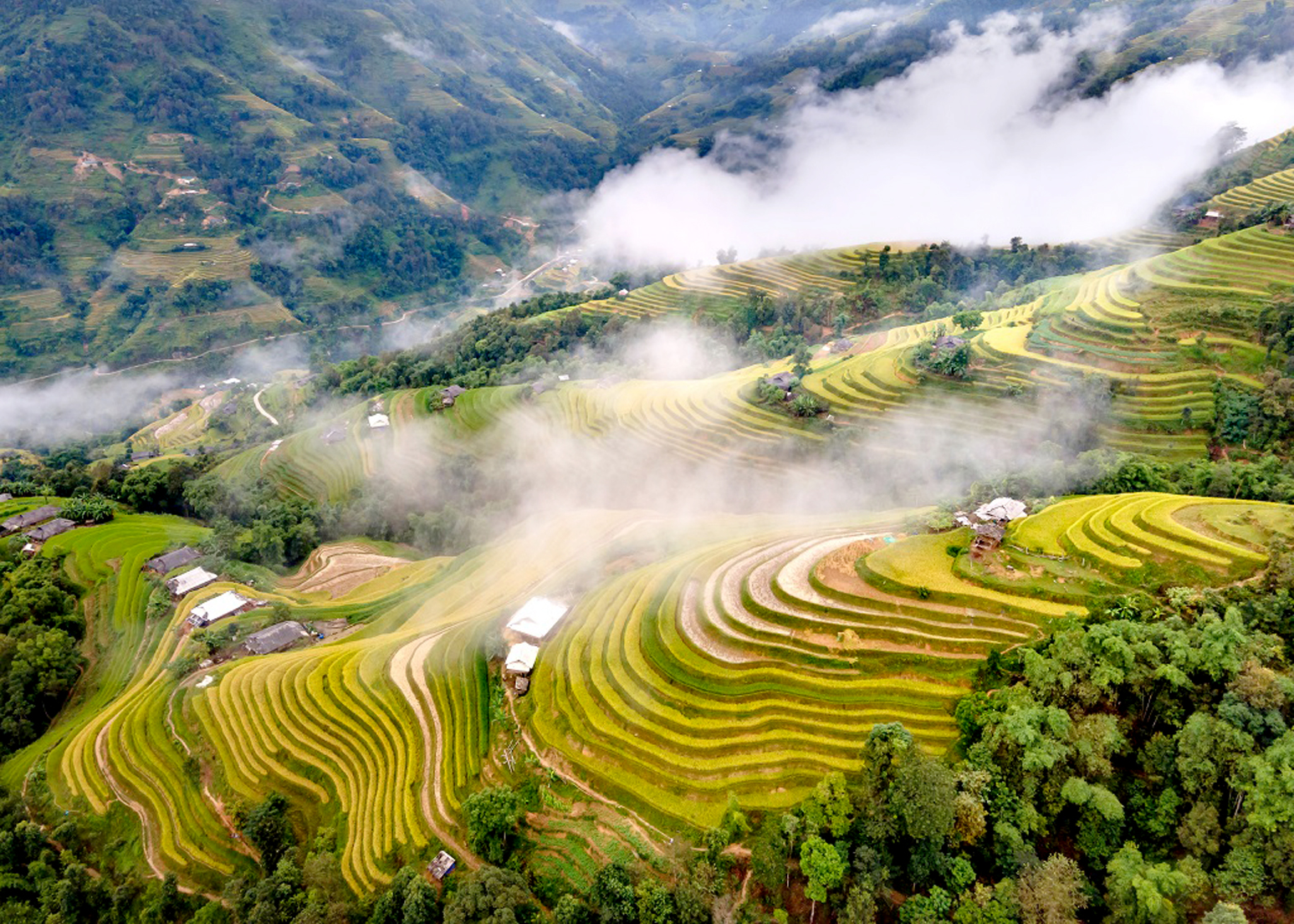 giới thiệu về ruộng bậc thang - Hình 3
