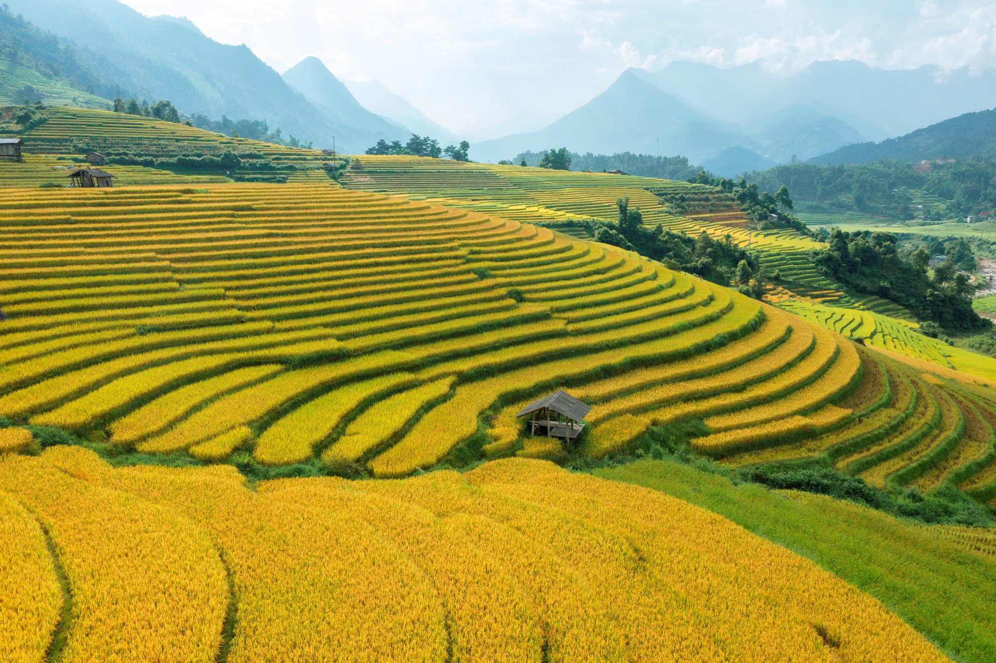 giới thiệu về ruộng bậc thang - Hình 4