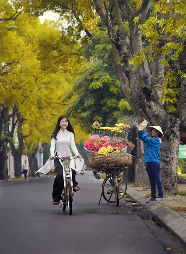 hà nội mùa thu cây com nguội vàng - Hình 1