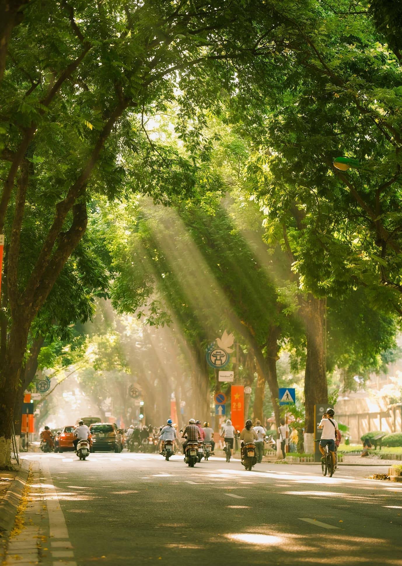 ha noi mua thu mua thu ha noi - Hình 2