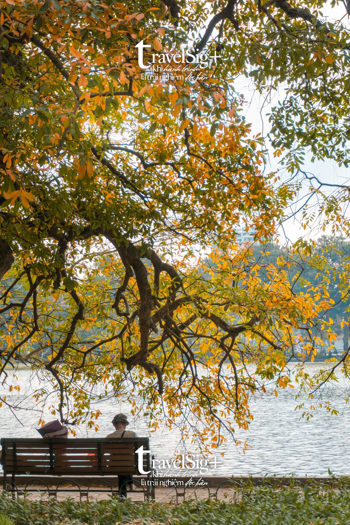 ha noi mua thu mua thu ha noi - Hình 3
