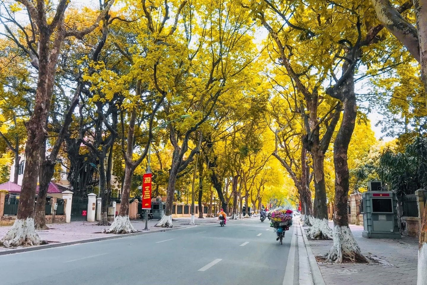 ha noi mua thu mua thu ha noi - Hình 4