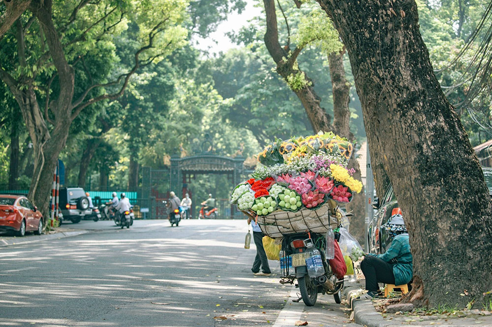 ha noi mua thu mua thu ha noi