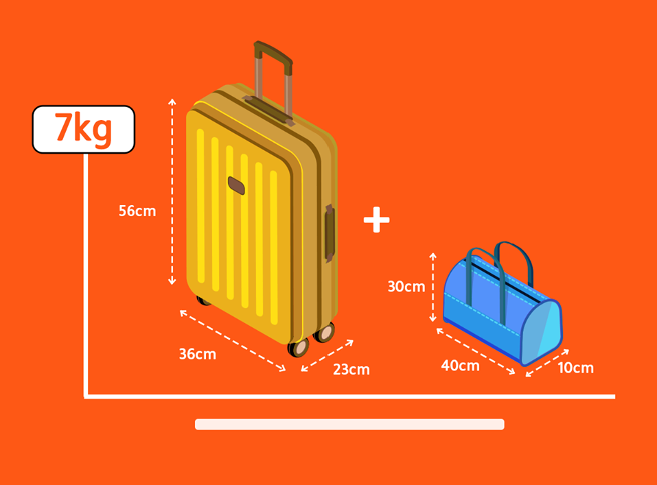 hành lý xách tay và hành lý ký gửi - Hình 3
