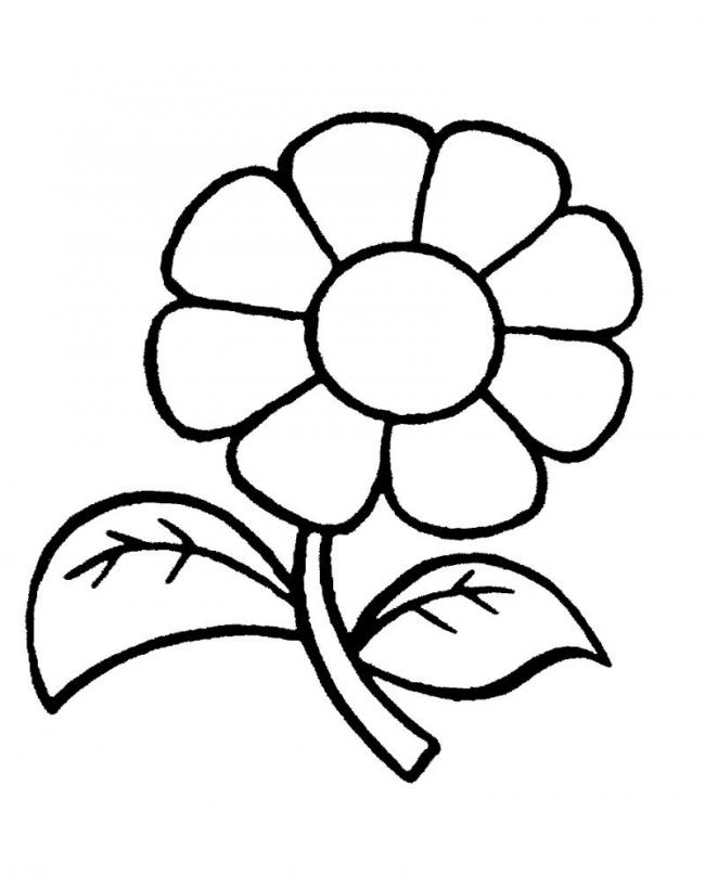 hình ảnh bông hoa tô màu