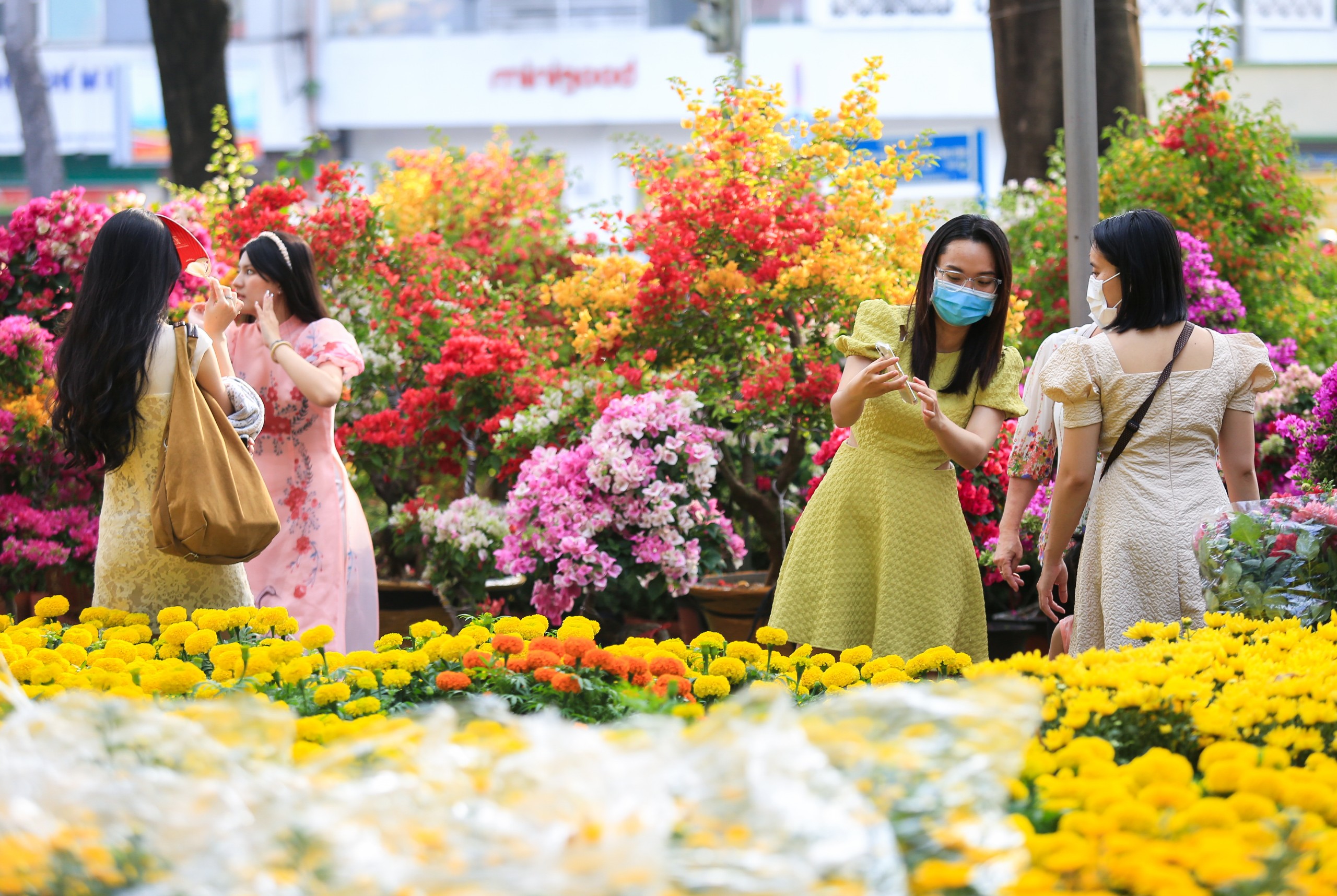 hình ảnh chợ hoa ngày tết - Hình 4